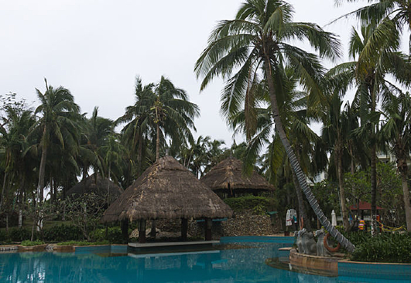 Ҭ���µĲ�ͤ