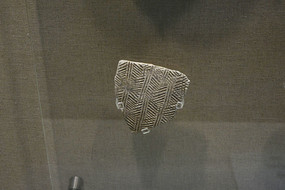 Ҷ������Ƭ