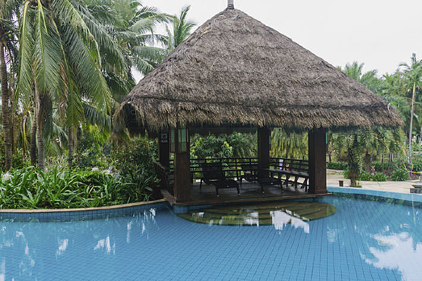 Ҭ���µĲ�ͤ