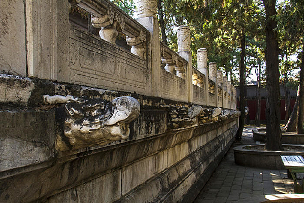 һ�ŵ�ˮ��ͷ