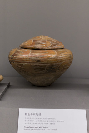 ���������չ�