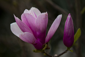 ��������д