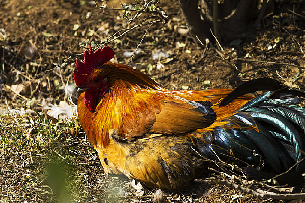 ����Ϣ�Ĵ󻨹���