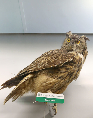 ��ϡ������^�걾