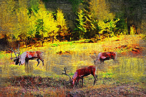 �����ͻ�������ѱ¹��