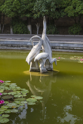 ���ܺ����ɺ�