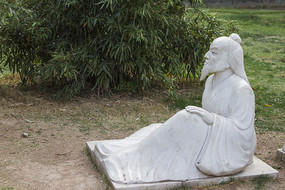 ���� ���������