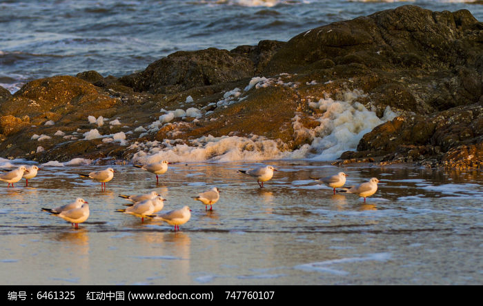 ��������ͼƬ