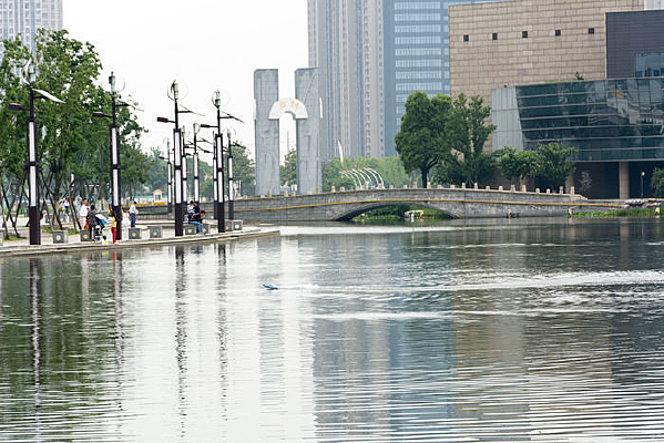 ������ľ