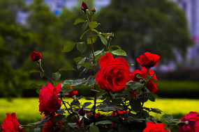 ����������