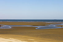 ������ɳ̲