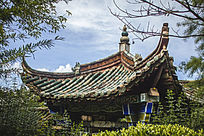 ͤ������