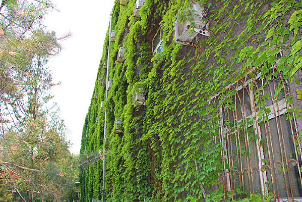 ������ɽ����סլ