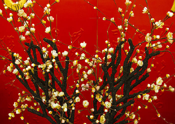 ÷��ͼ������