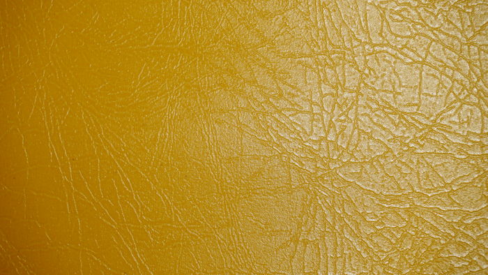 Ƥ��ɫ����