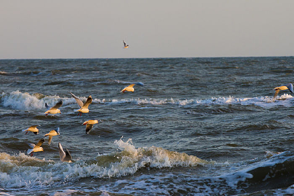 ���Ұ���