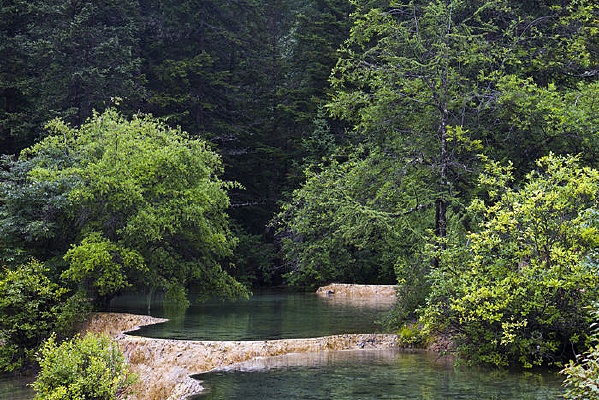 ̶ˮ������