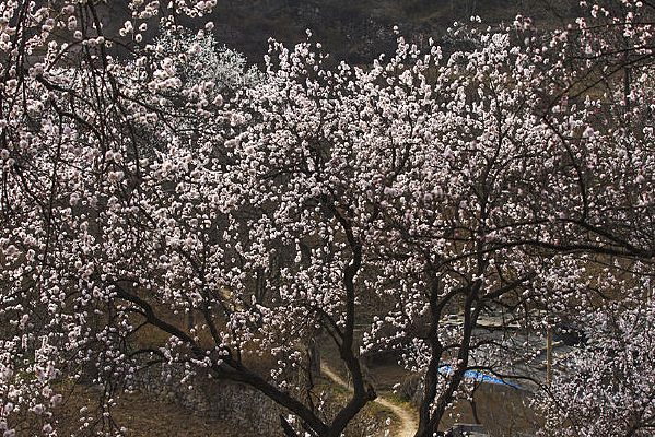 �һ������С·