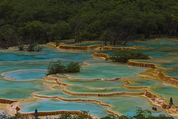 ������ʳ�