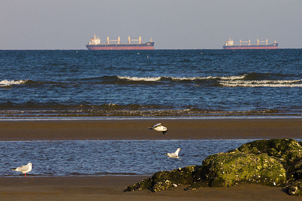 Ѱ��ͬ��ĺ�Ÿ