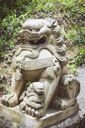 һͷ��̴�ʨ��