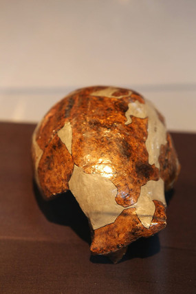 �ܿڵ���ַ�����˶��ŵ�ͷ�ǹ�