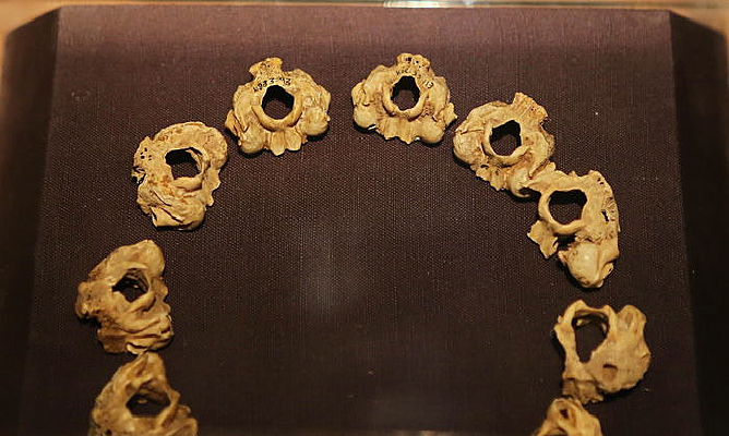 �ܿڵ���ַ����ͷ����Ʒ