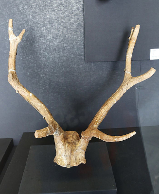 �ܿڵ���ַ���ϰ�¹����ͷ��