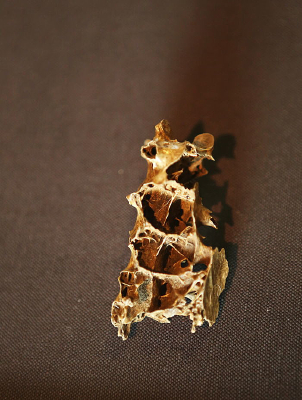 �ܿڵ���ַ��أ������