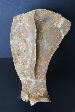 �ܿڵ���ַ˫��Ϭ���ι�