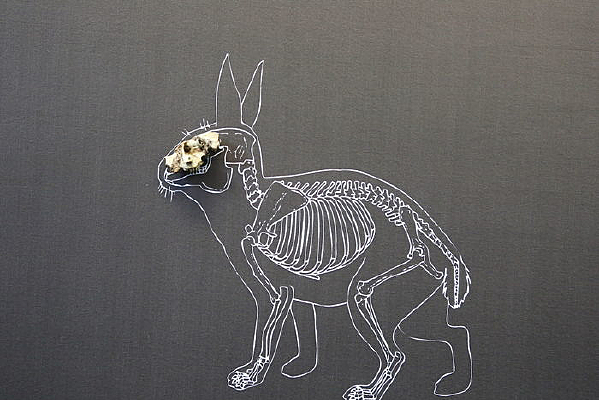 �ܿڵ���ַҰ��ͷ��