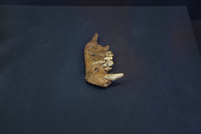 �ܿڵ���ַ�й��๷����