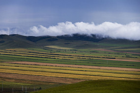 ����Ʈ����Ұ