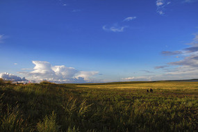 ��ԭ��ͷƮ����