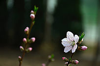 ��Ư������֦�һ���֦