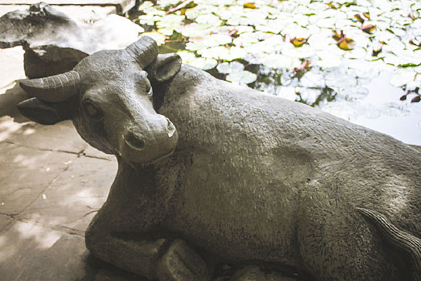 �����ߵ��ʯ��