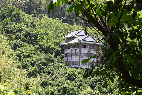 ��ɭ����Ӱ