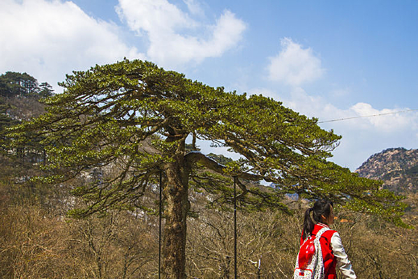 �ڻ����µ��ο�