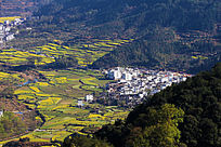 ��ɽ����