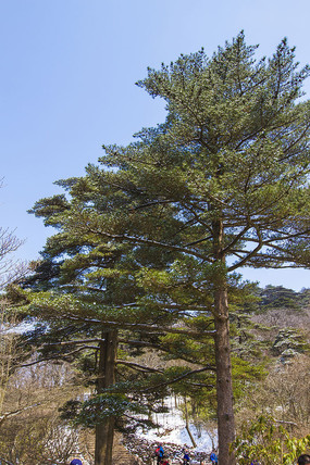 ��ɽ�����