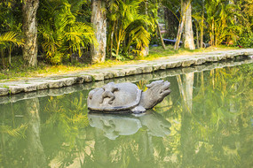 ���е�ʯ��