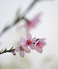 ��೬�����һ���֦����ͼ