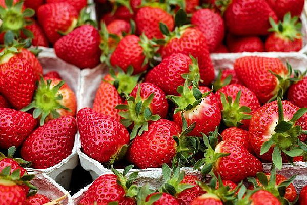 �������۵����ʲ�ݮ