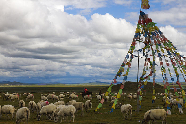 ����µ�������