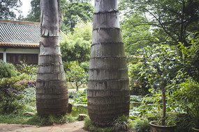 ���������������