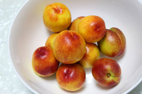 �ɿ�����