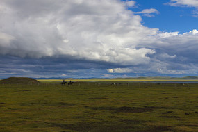 ��λ����