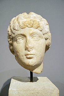 �����޵�