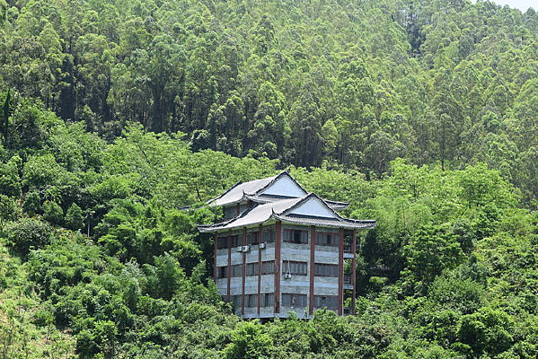 ������Ӱ