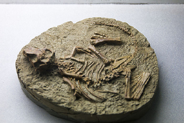 �Ե�����ʯ